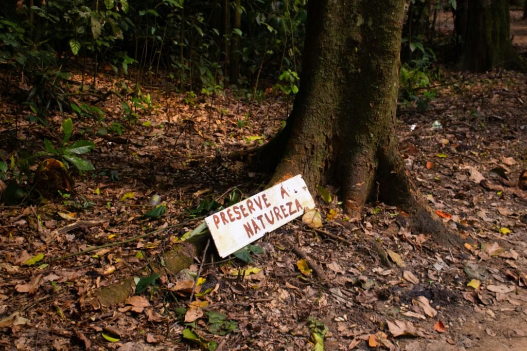 A sign urging nature preservation placed against a tree in a lush forest.